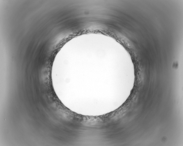 X0000094380824200711020823