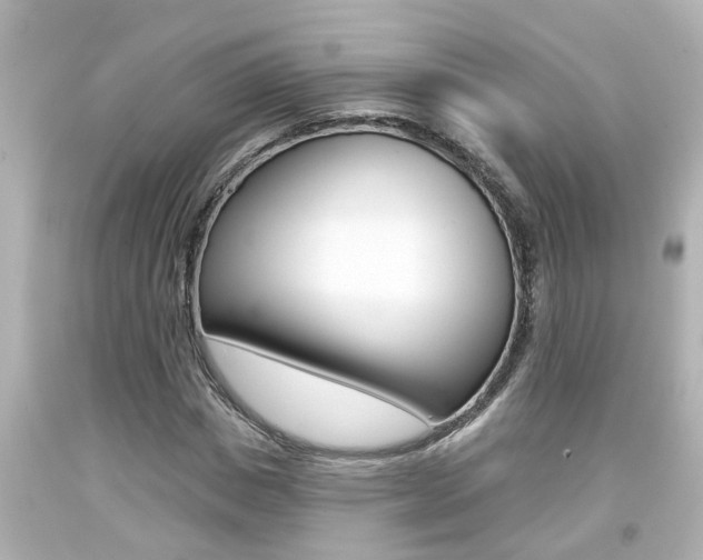 X0000094380825200711020823