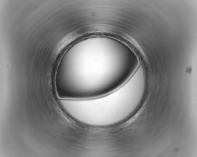 X0000094380826200711020823