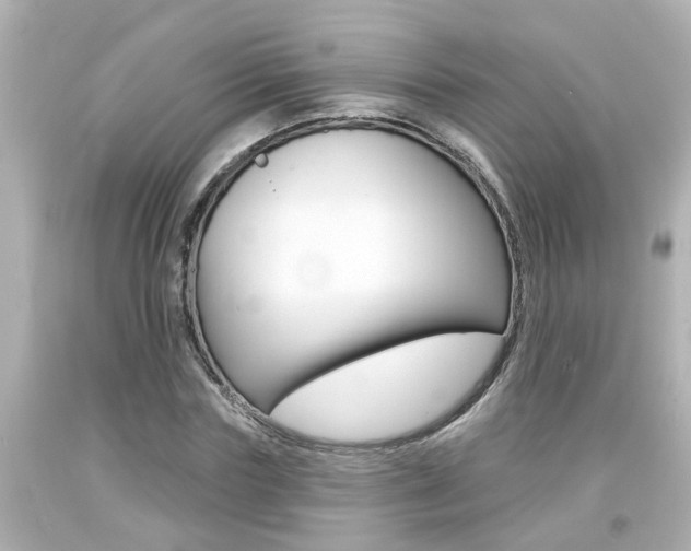 X0000094380827200711020823