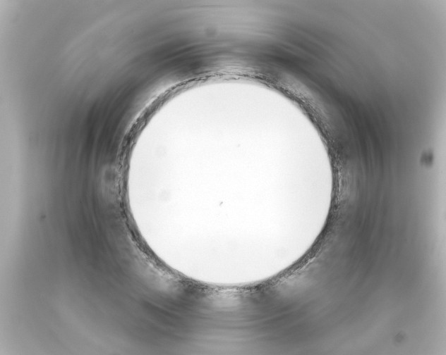 X0000094380828200711020823