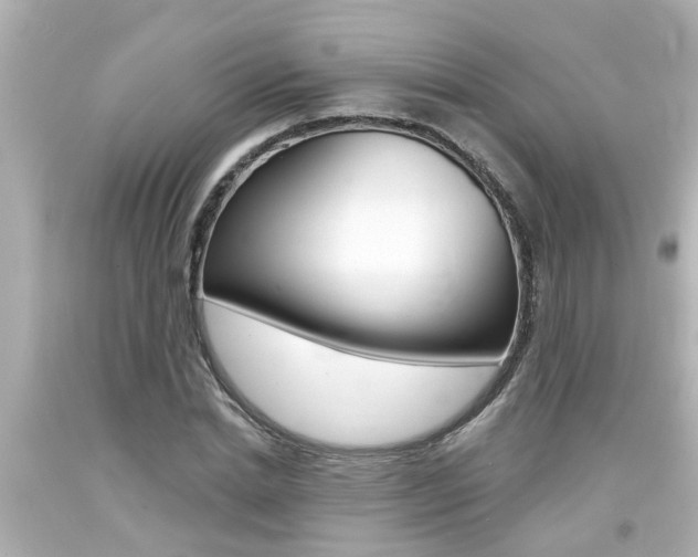 X0000094380830200711020823