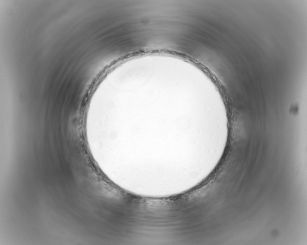 X0000094380832200711020823