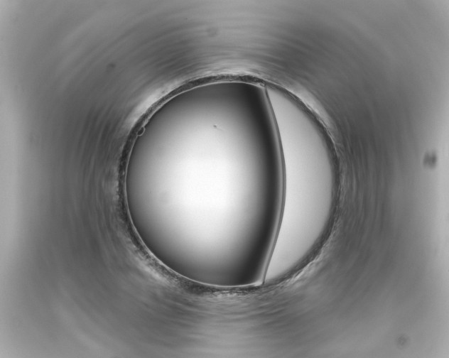X0000094380834200711020823
