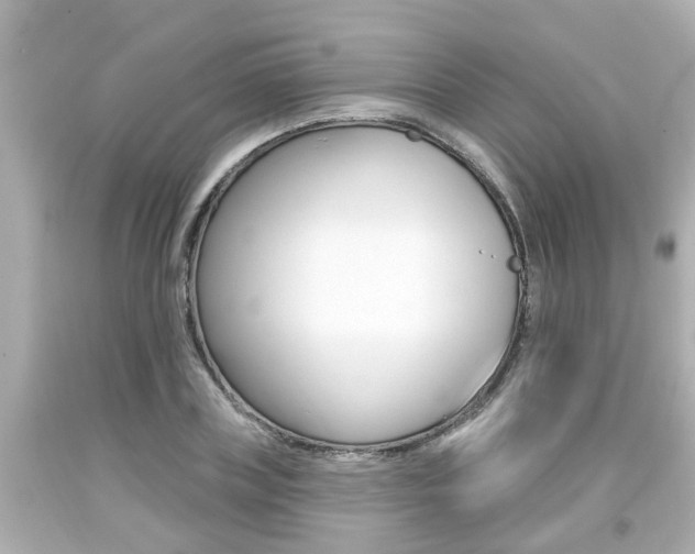 X0000094380835200711020823