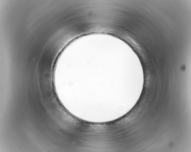 X0000094380836200711020823
