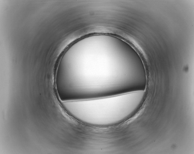 X0000094380837200711020823