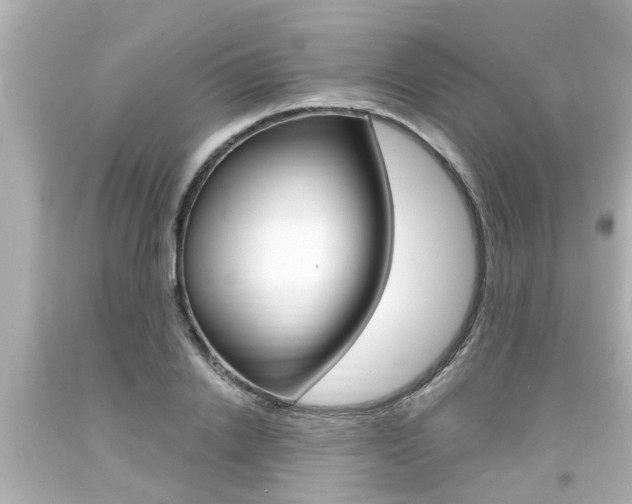 X0000094380838200711020823
