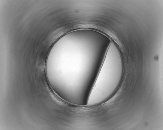 X0000094380841200711020823
