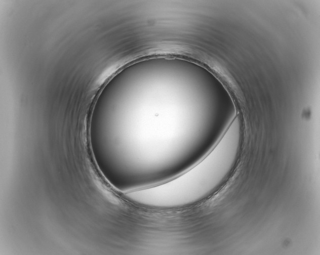 X0000094380842200711020823