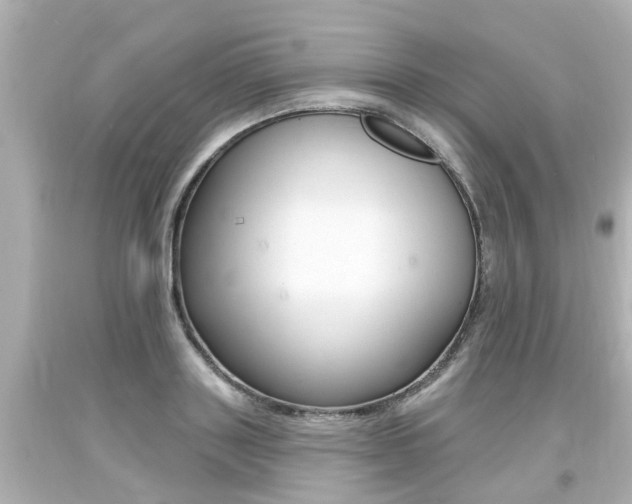 X0000094380843200711020823