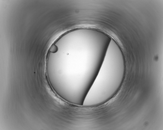 X0000094380844200711020823