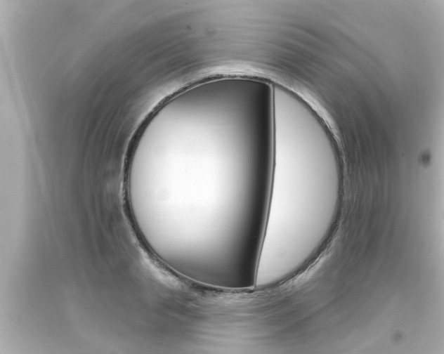 X0000094380845200711020823