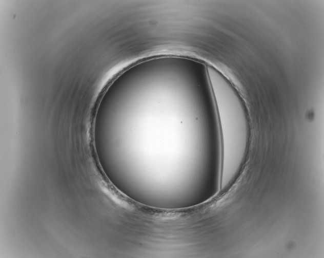 X0000094380846200711020823