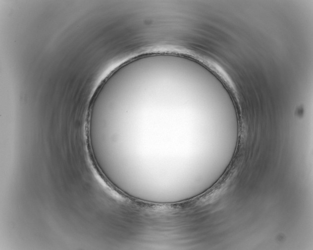 X0000094380847200711020823
