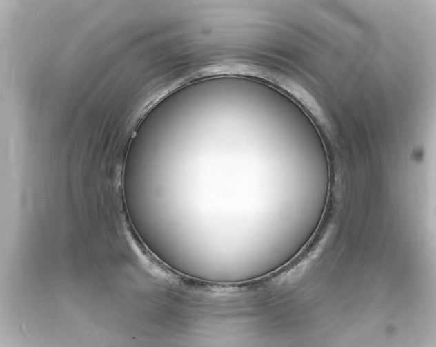 X0000094380849200711020824
