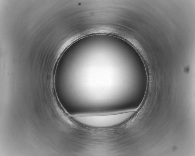 X0000094380850200711020824