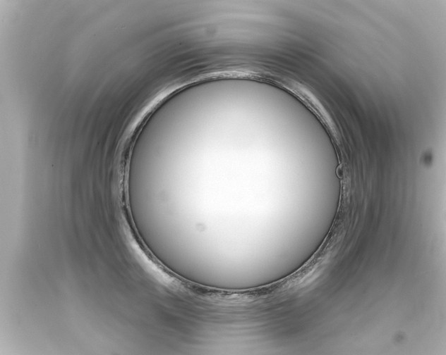 X0000094380851200711020824