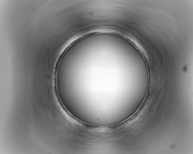 X0000094380853200711020824