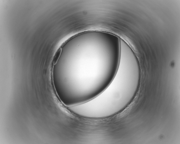 X0000094380854200711020824