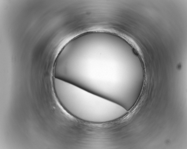 X0000094380855200711020824