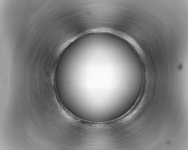 X0000094380857200711020824