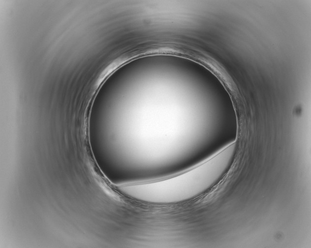 X0000094380858200711020824