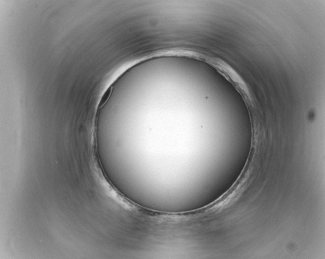 X0000094380860200711020824