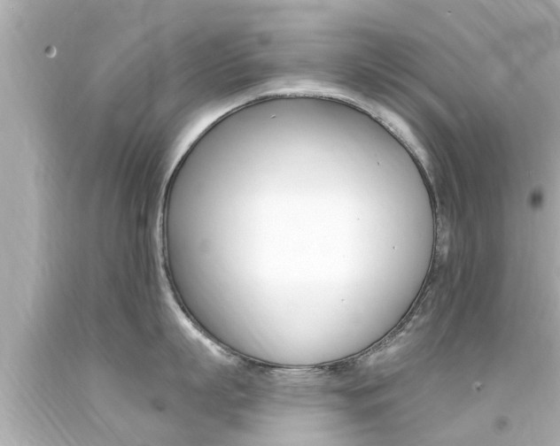 X0000094380863200711020824