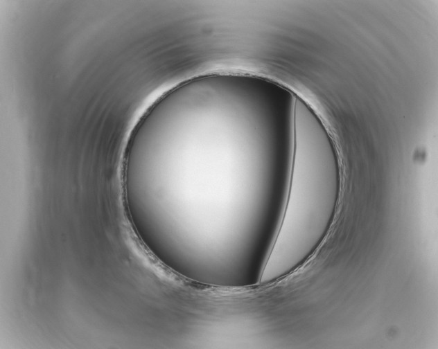 X0000094380864200711020824