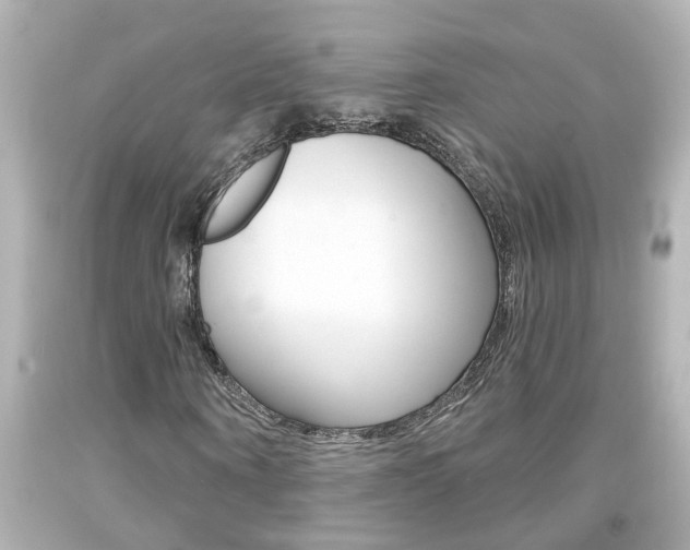 X0000094380866200711020823
