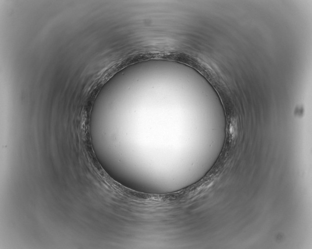 X0000094380867200711020823