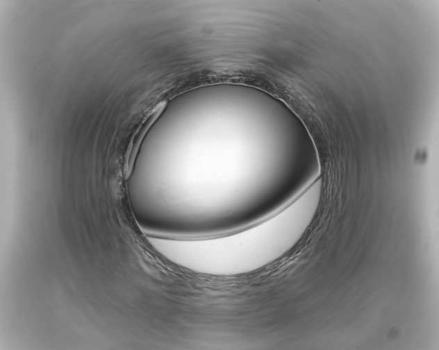X0000094380868200711020823