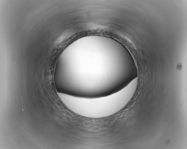 X0000094380869200711020823