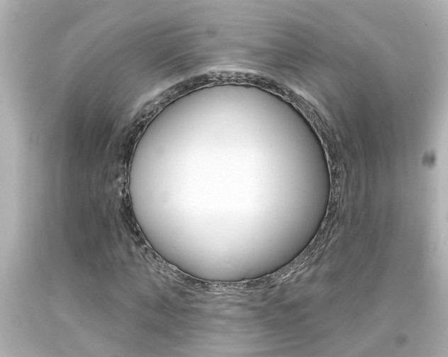 X0000094380870200711020823