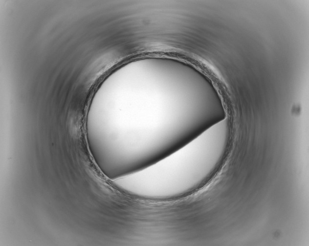 X0000094380873200711020823
