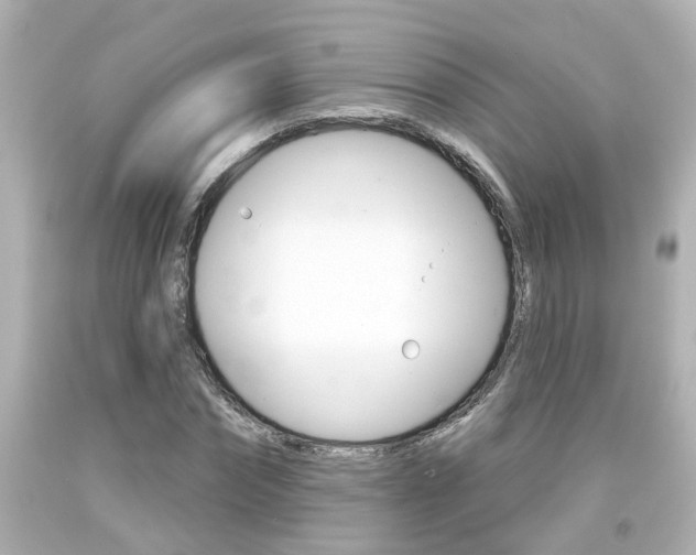 X0000094380874200711020823