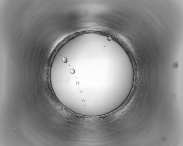 X0000094380875200711020823