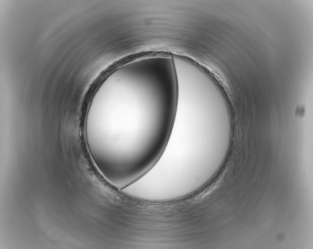 X0000094380880200711020823