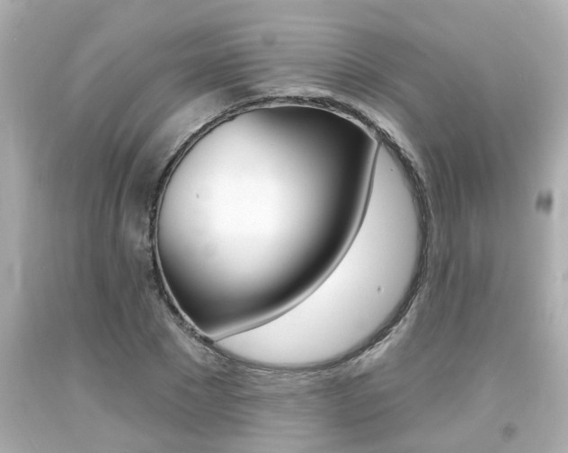 X0000094380881200711020822