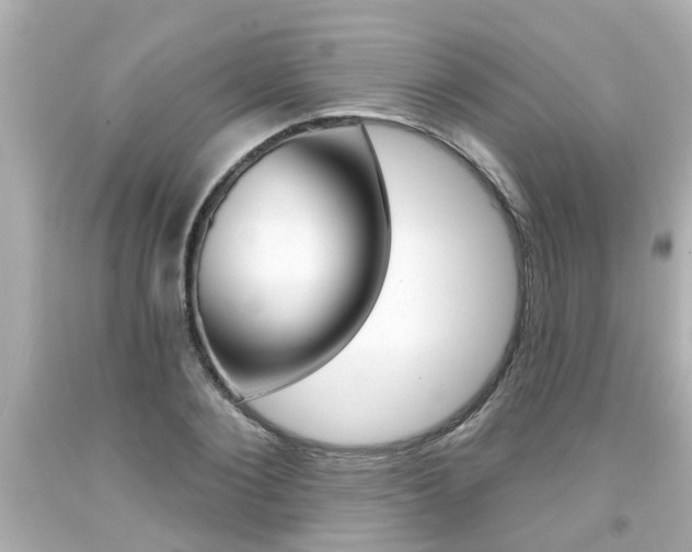 X0000094380884200711020822