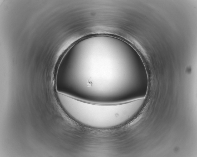 X0000094380885200711020822
