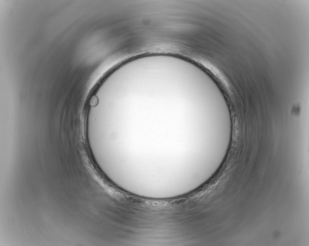 X0000094380886200711020822