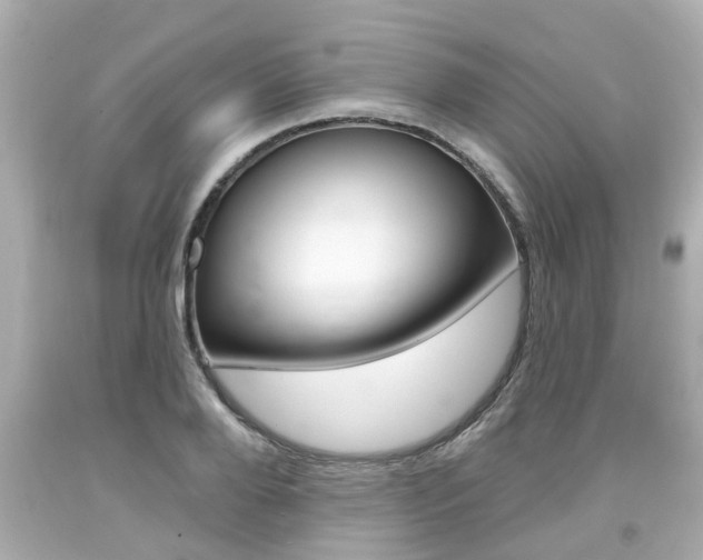 X0000094380888200711020822