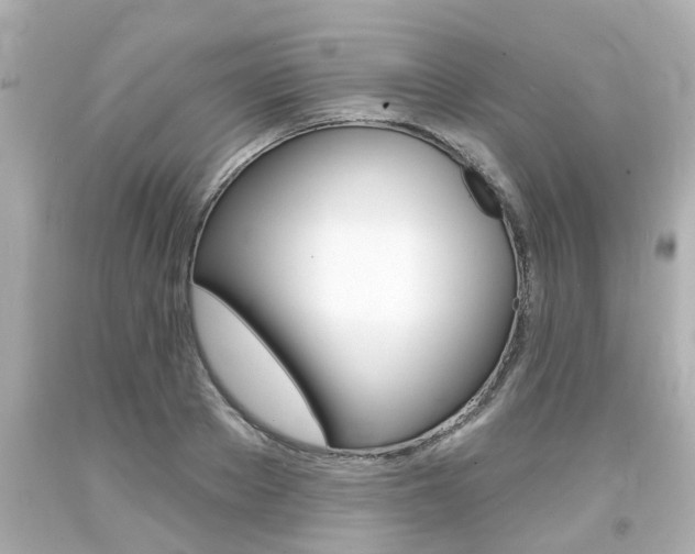 X0000094380889200711020822
