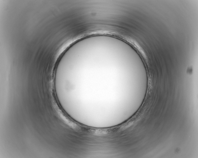X0000094380890200711020822