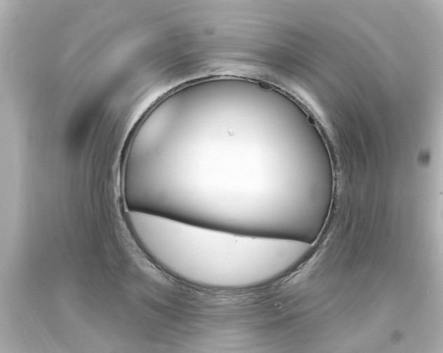 X0000094380891200711020822