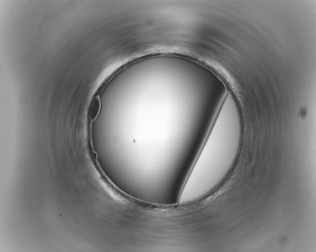 X0000094380894200711020822