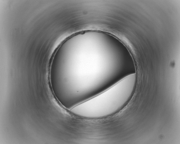 X0000094380896200711020822