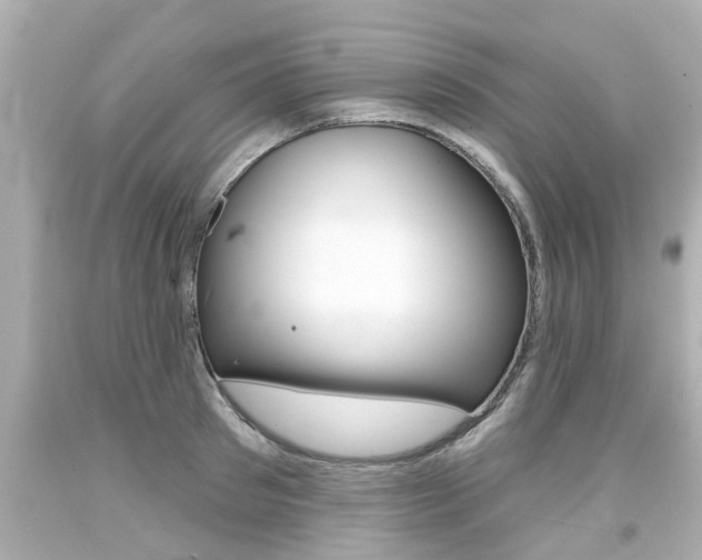 X0000094380897200711020822